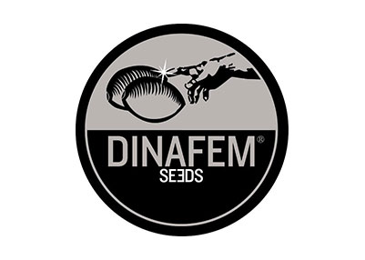 Banco semillas marihuana - Dinafem Seeds