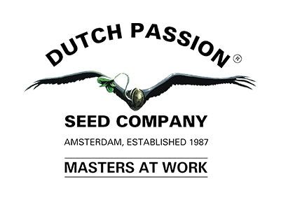 Banco semillas marihuana - Dutch Pasion